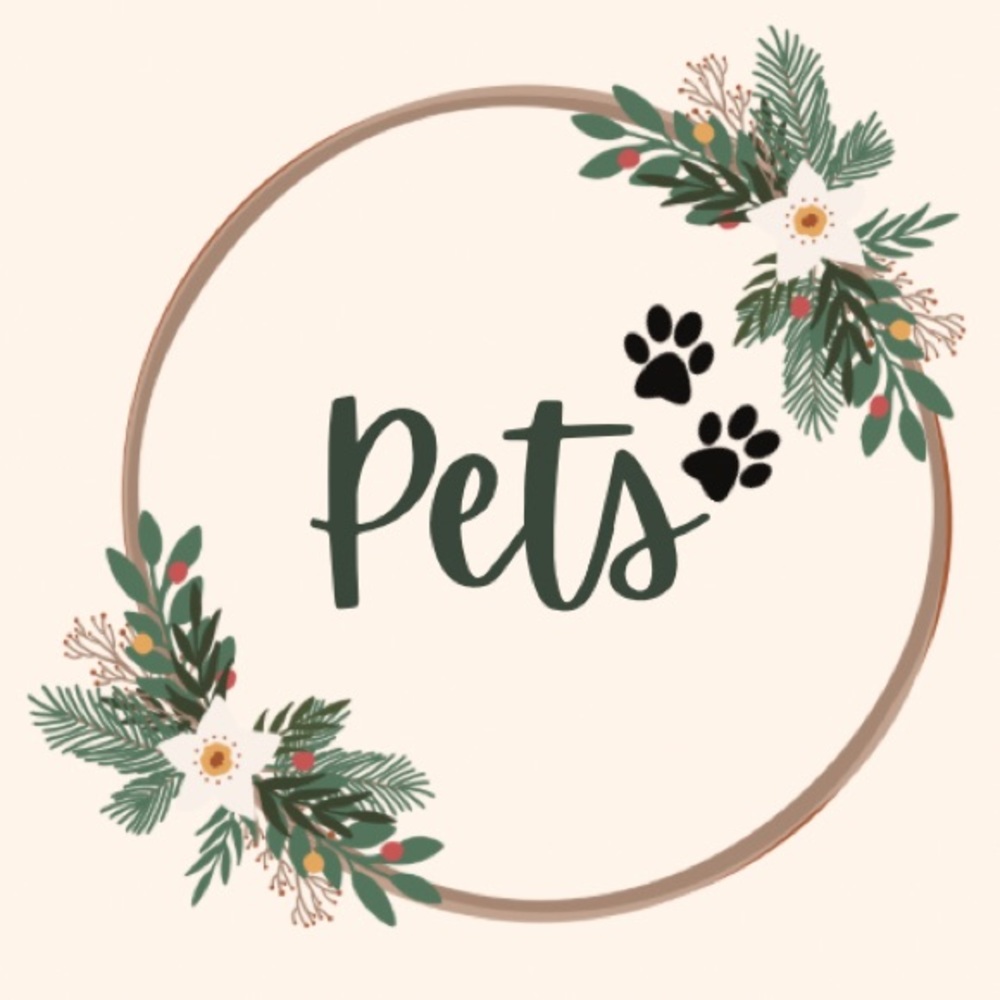 Pet items below 🐶🐱